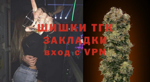 первитин Гусев