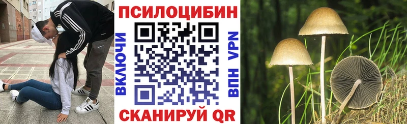 Галлюциногенные грибы MAGIC MUSHROOMS  наркотики  Красный Сулин 